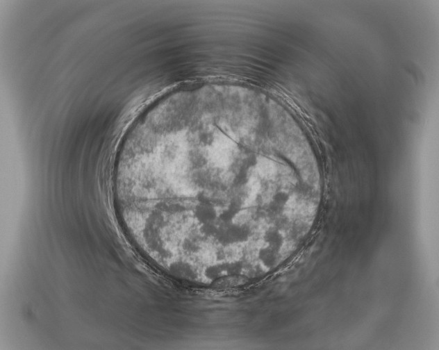 X0000112950241200909211200