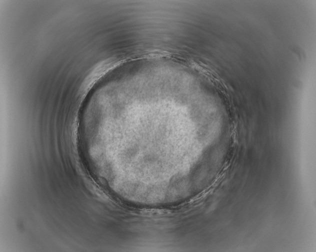 X0000112950242200909211200