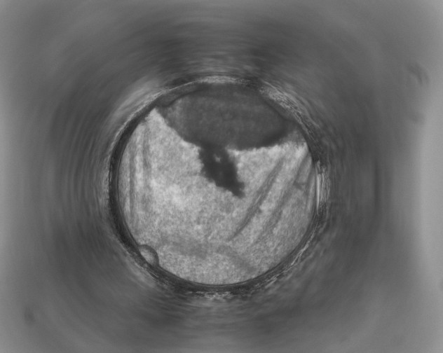 X0000112950243200909211200