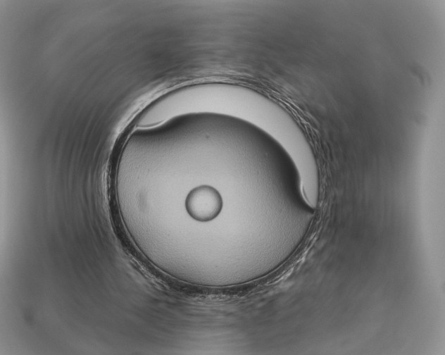 X0000112950244200909211200