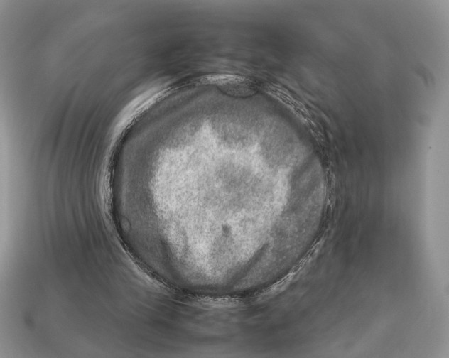 X0000112950245200909211200