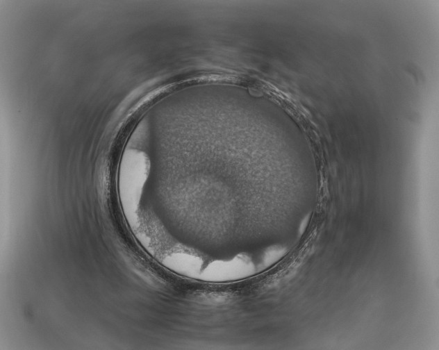X0000112950247200909211200