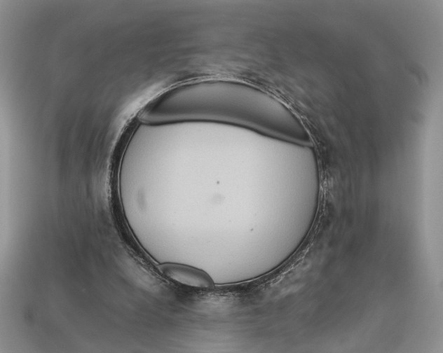 X0000112950248200909211200