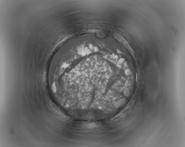 X0000112950249200909211200
