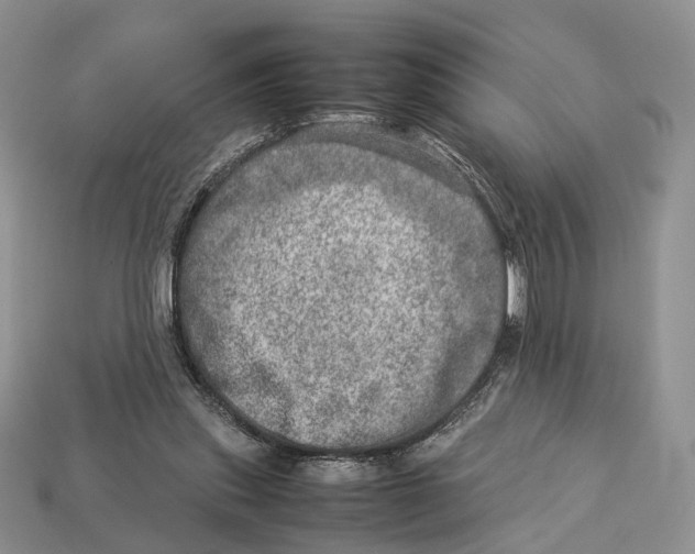 X0000112950253200909211200