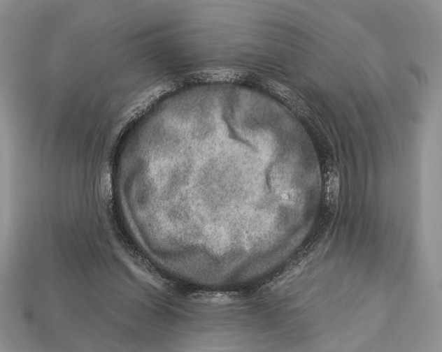 X0000112950254200909211200