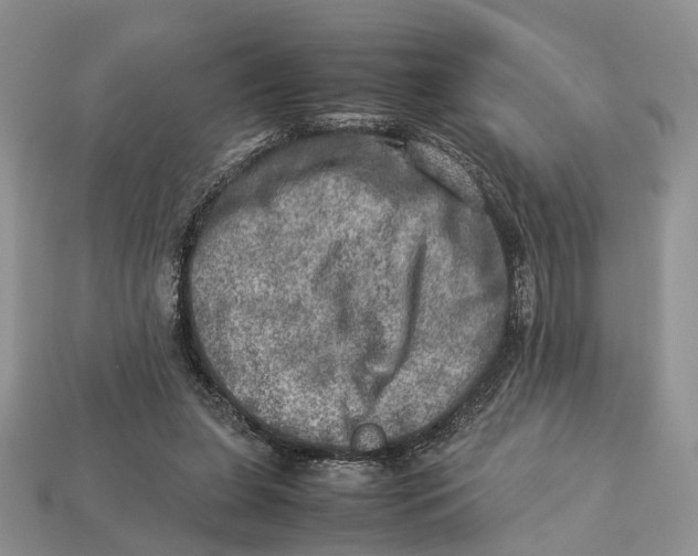 X0000112950255200909211200