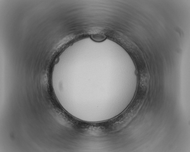 X0000112950256200909211200