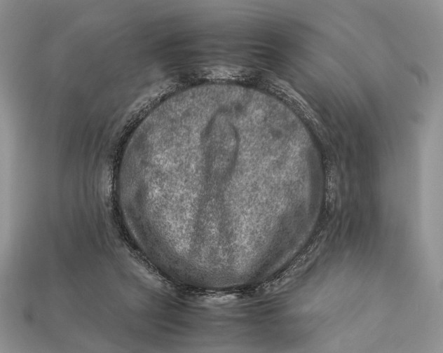 X0000112950257200909211200