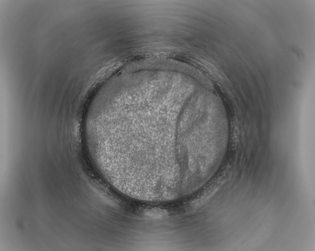 X0000112950258200909211200