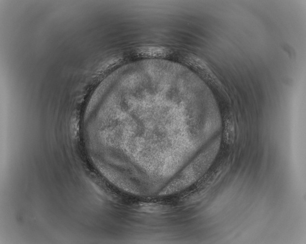 X0000112950259200909211200