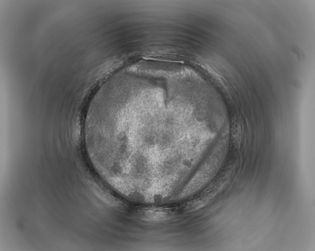 X0000112950261200909211200
