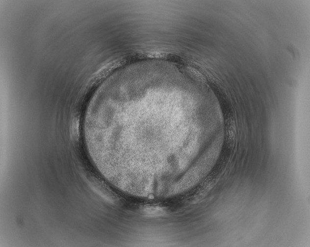 X0000112950262200909211200
