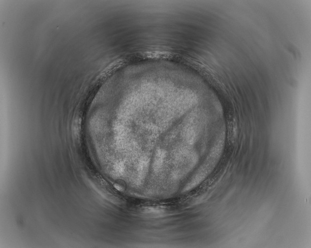 X0000112950263200909211200