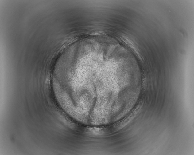 X0000112950265200909211200