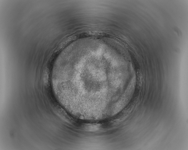 X0000112950266200909211200
