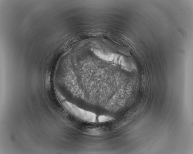 X0000112950267200909211200