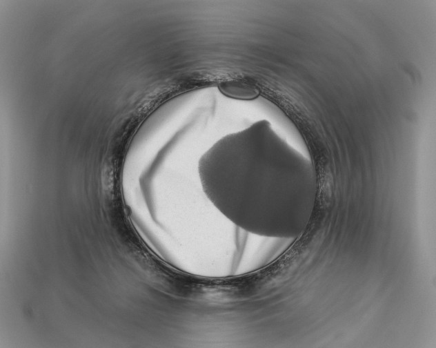 X0000112950268200909211200