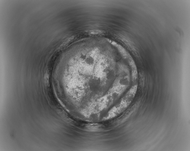 X0000112950269200909211200