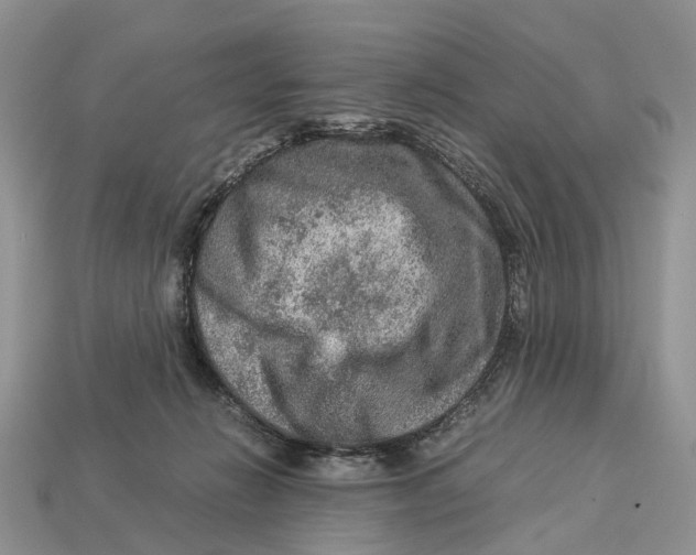 X0000112950270200909211200
