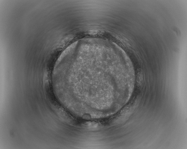 X0000112950272200909211200