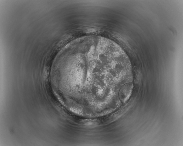 X0000112950273200909211200