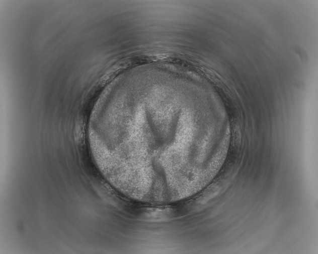 X0000112950274200909211200