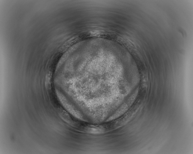 X0000112950275200909211200