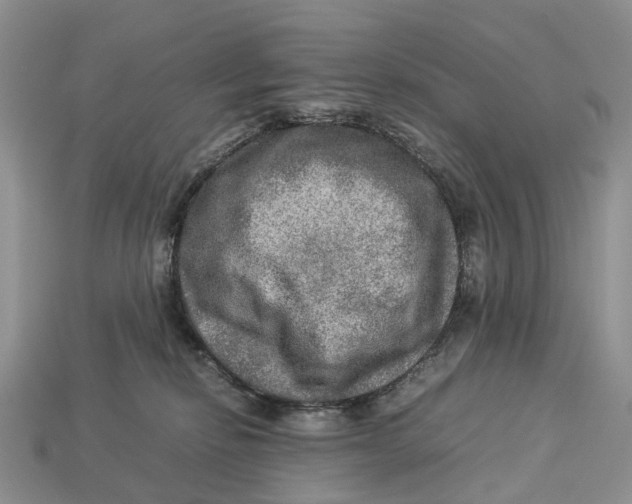 X0000112950278200909211200