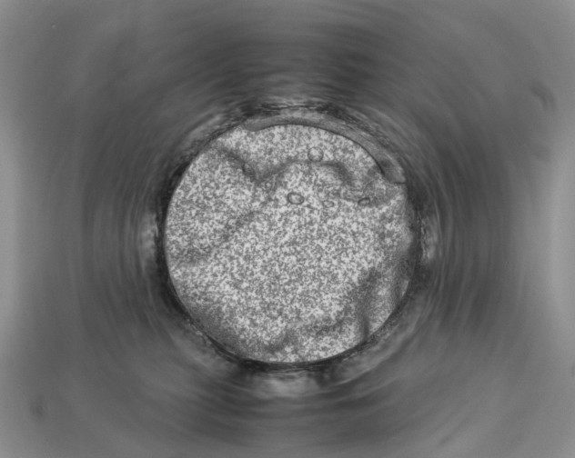 X0000112950279200909211200