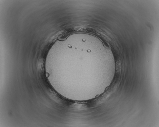 X0000112950280200909211200