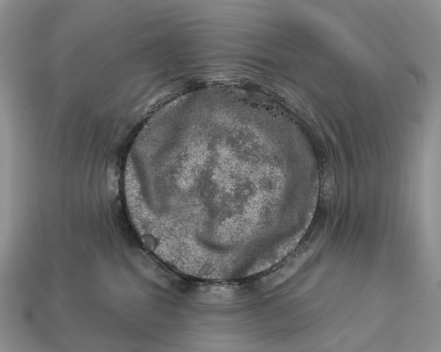 X0000112950282200909211200