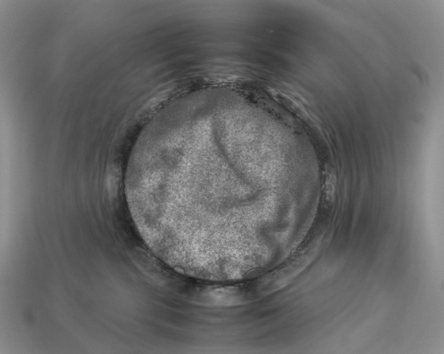 X0000112950283200909211201