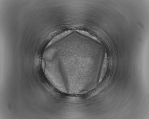 X0000112950284200909211201