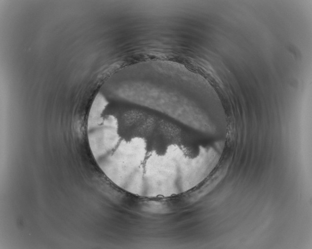 X0000112950285200909211201