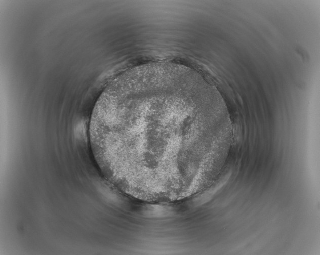 X0000112950286200909211201
