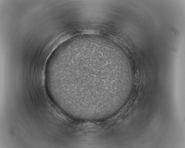 X0000112950290200909211200