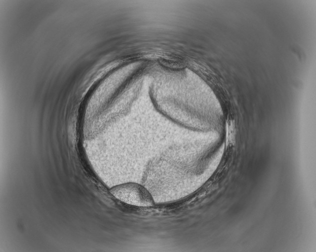 X0000112950291200909211200