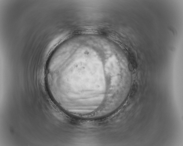 X0000112950293200909211200