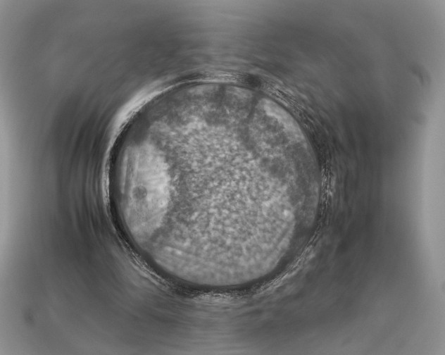 X0000112950294200909211200