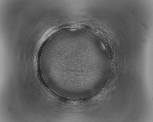 X0000112950295200909211200