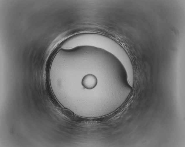 X0000112950296200909211200
