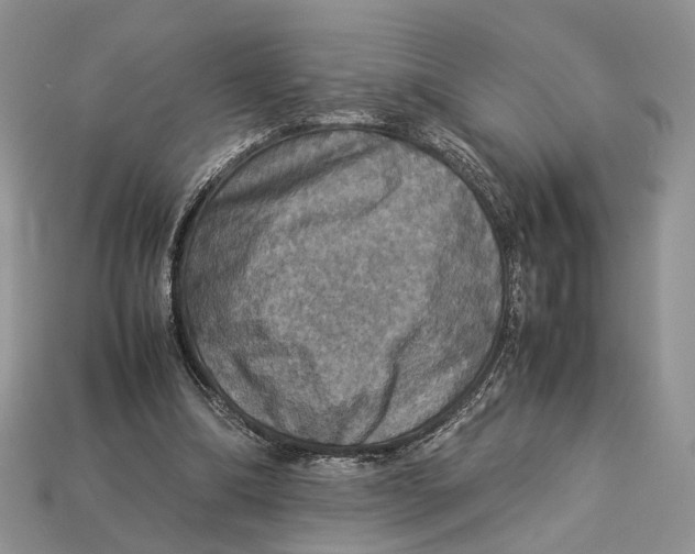 X0000112950298200909211200