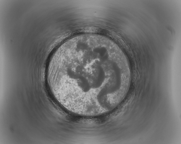 X0000112950299200909211200