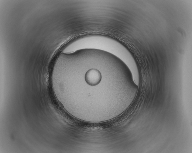 X0000112950304200909211200