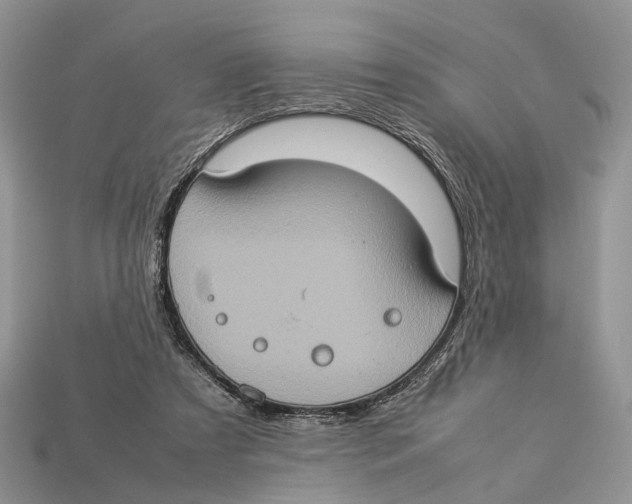 X0000112950305200909211200