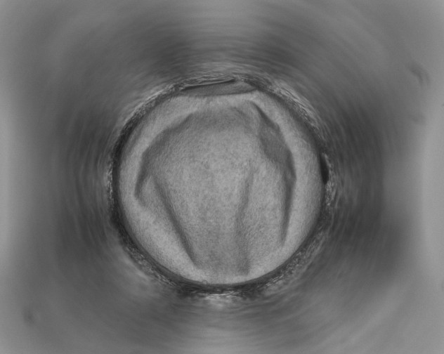 X0000112950306200909211200