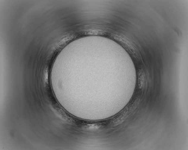 X0000112950310200909211200