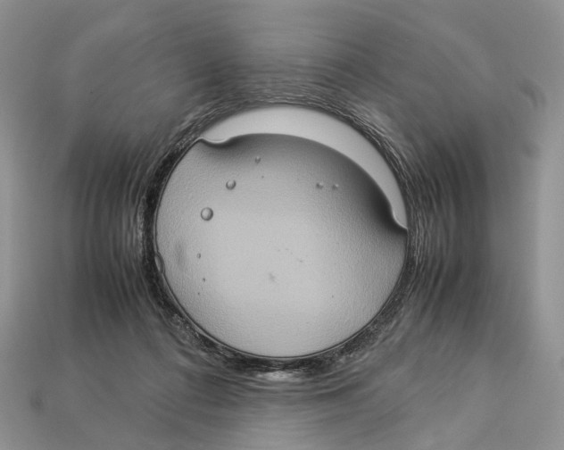 X0000112950312200909211200