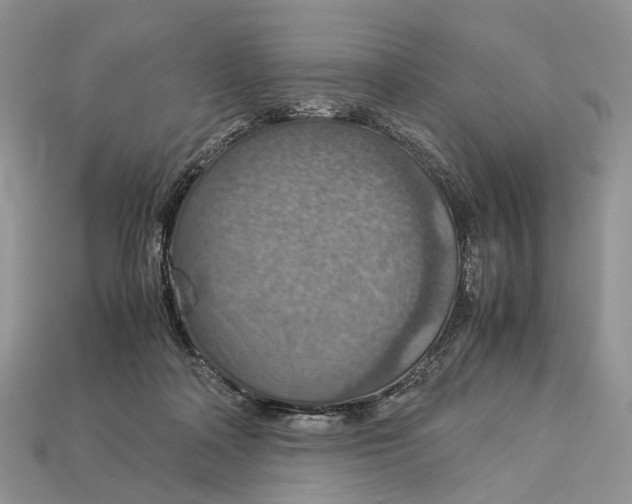 X0000112950314200909211200